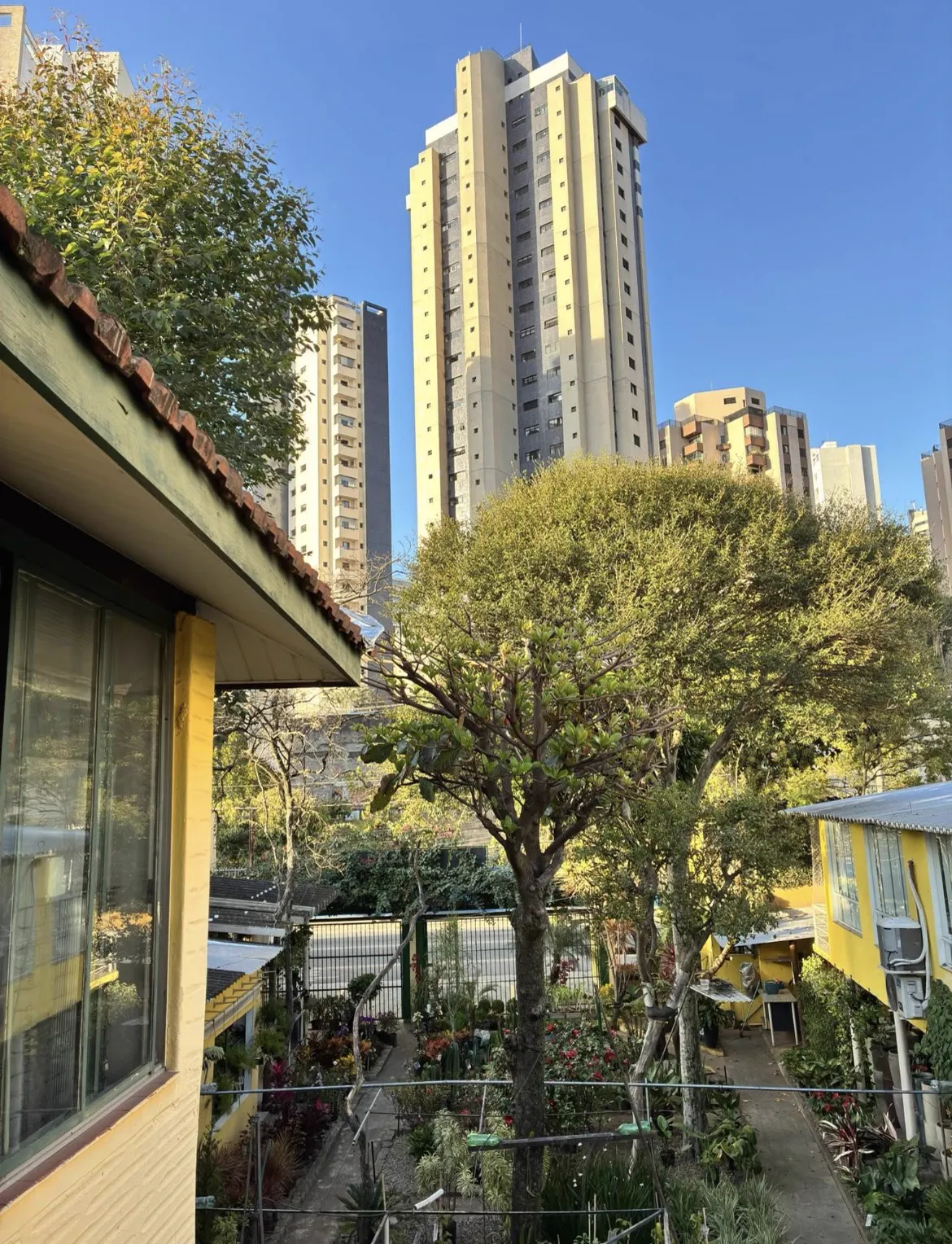 Ambiente do BullDog Hotel preparado para o conforto e a diversão dos pets